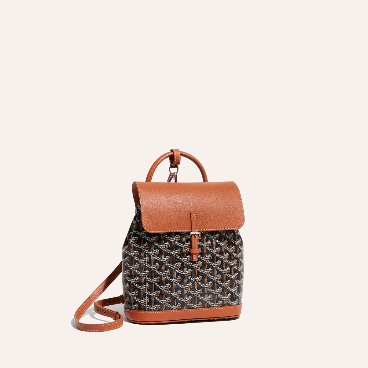 Goyard Alpin Mini Backpack Black & Tan - Image 1